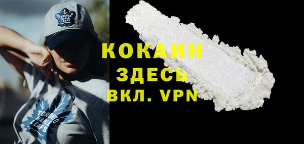 дмт Инта