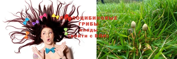 мефедрон Каменногорск
