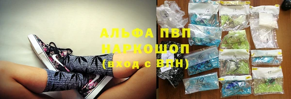 дмт Инта