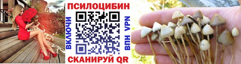 Псилоцибиновые грибы GOLDEN TEACHER  Кондопога 