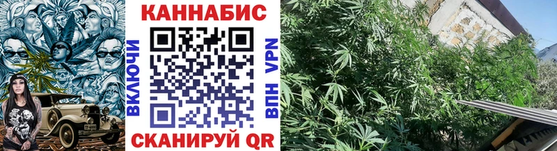 Каннабис Amnesia где можно купить Кондопога